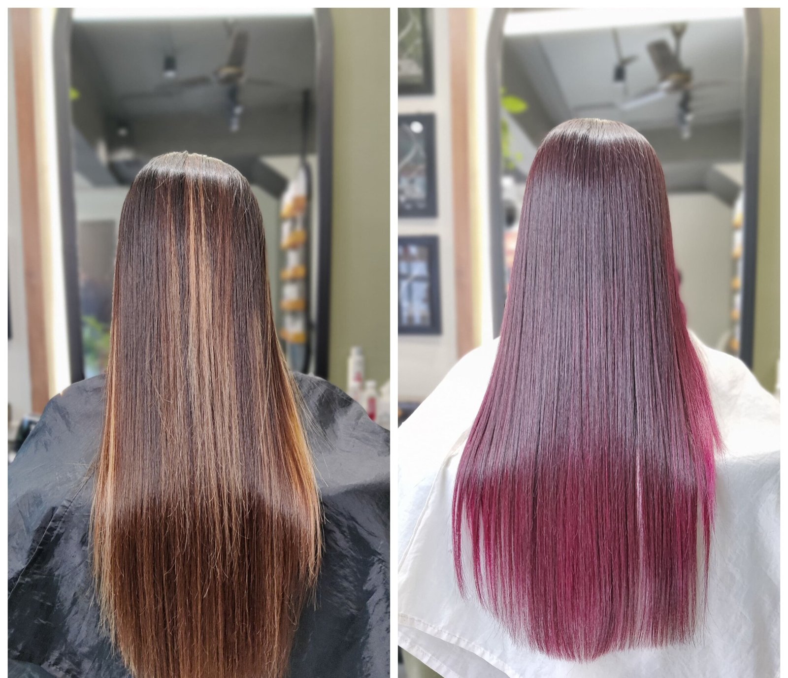Collegian Salon
