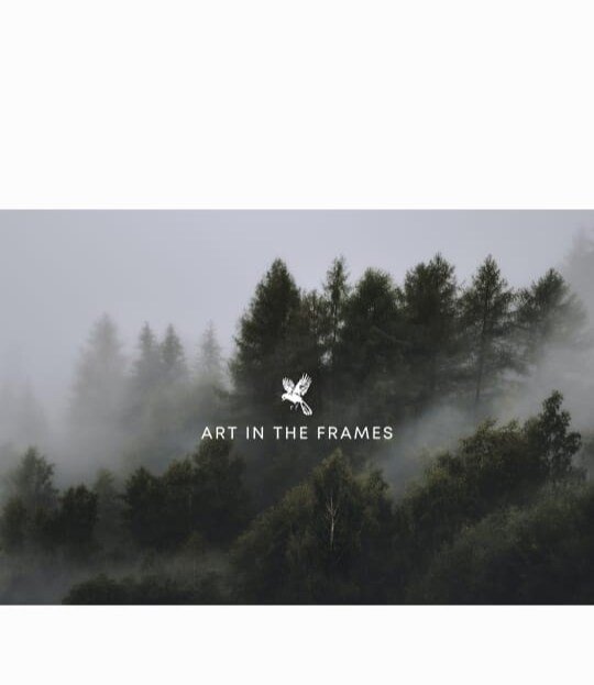 Art In The Frames