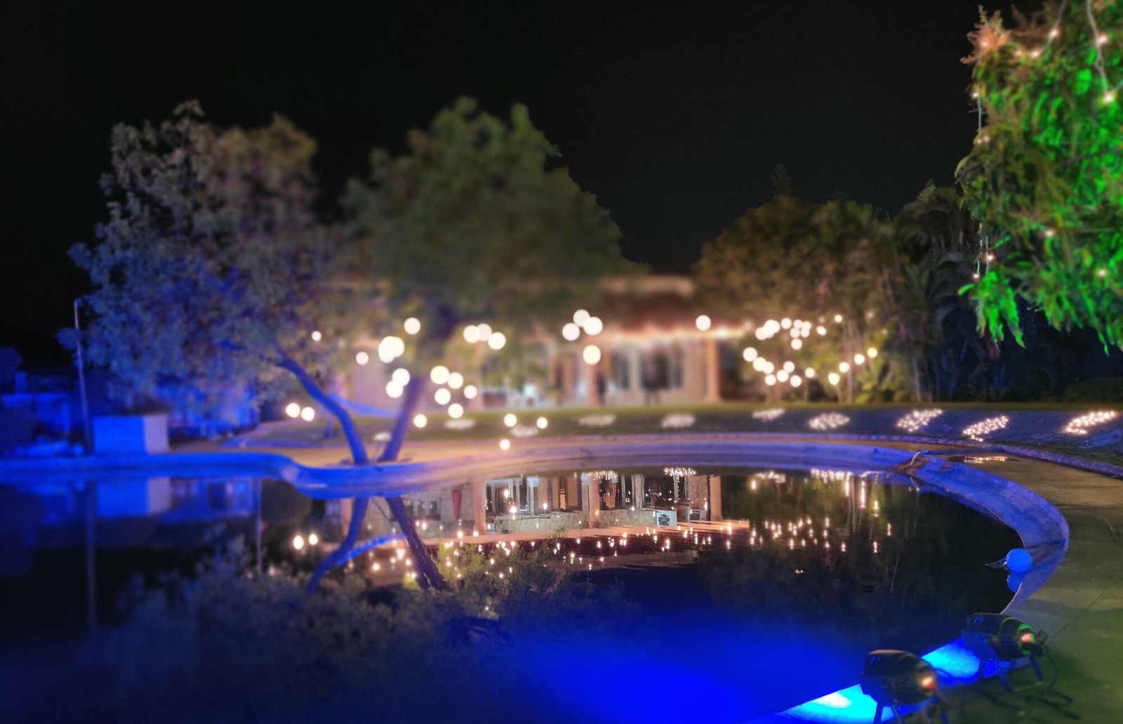 The Wedding House