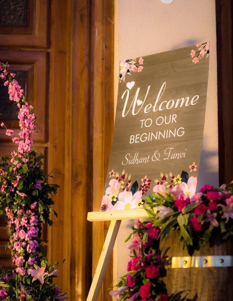 dolphin events