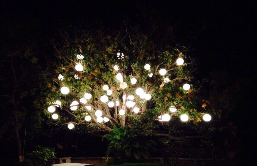 Blue Leaf Events And Concepts