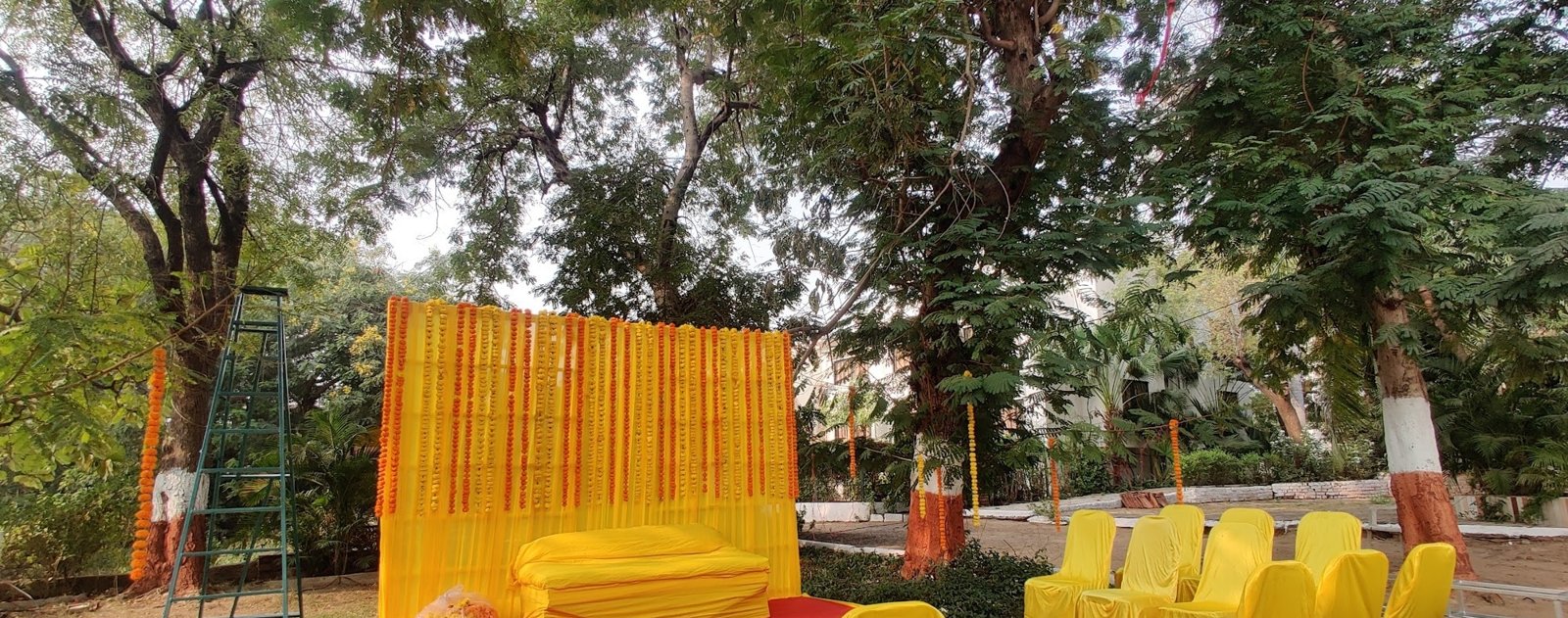 Guju Events