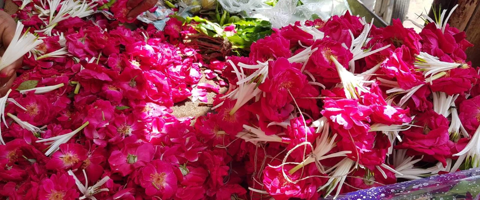 Jay Jagnath Pushp Bhandar