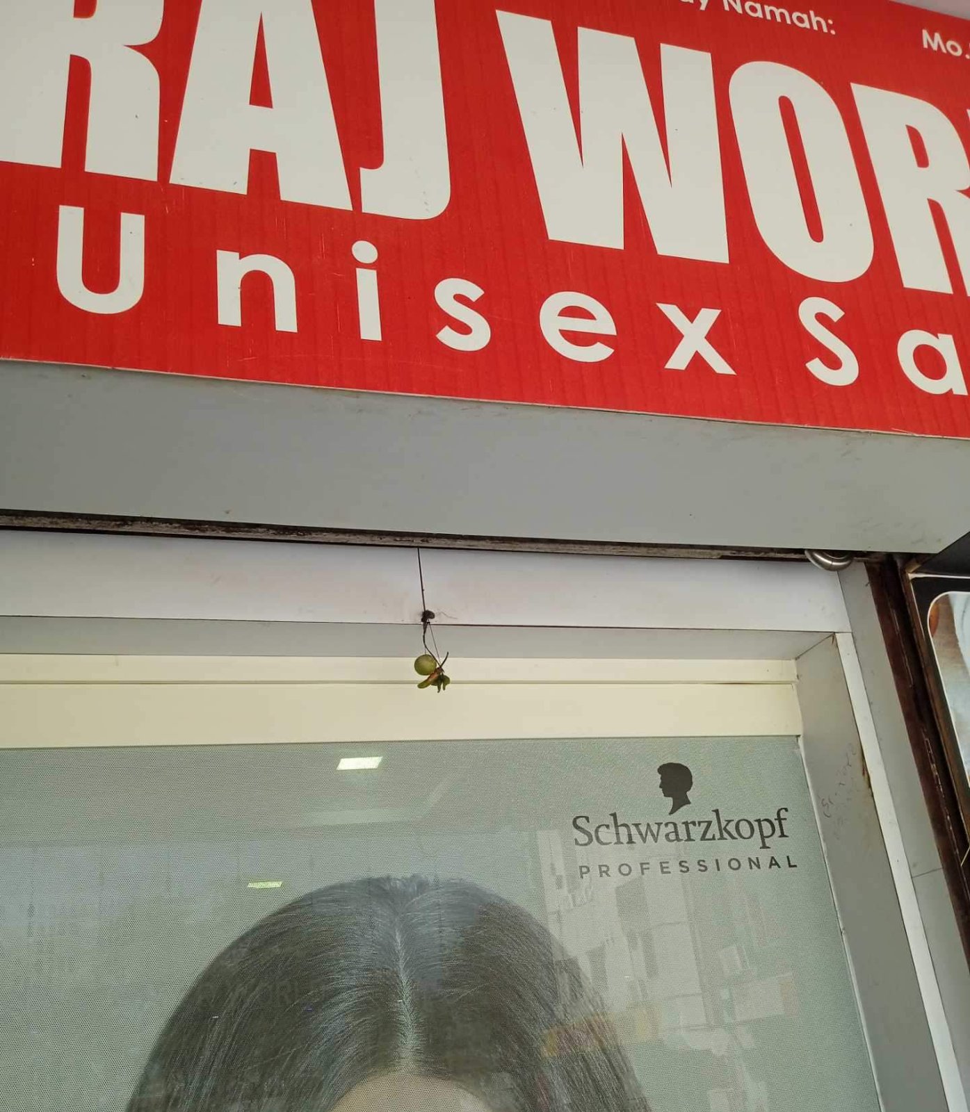 Raj World Family Salon