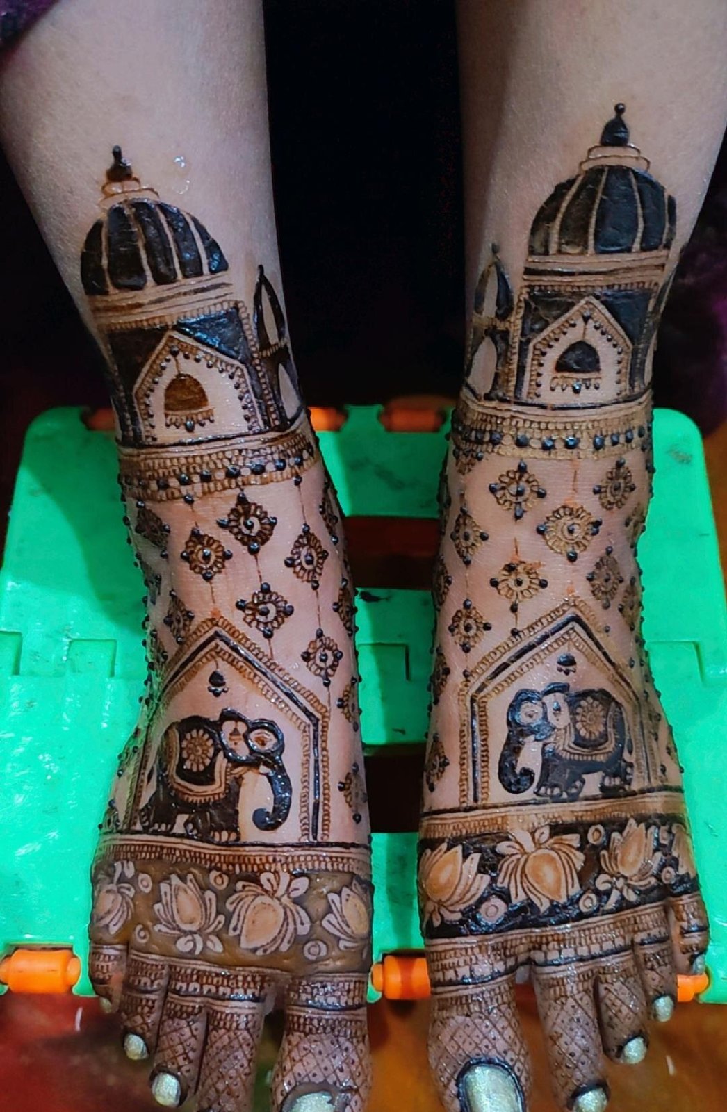Jyoti Dixit Mehendi Artist