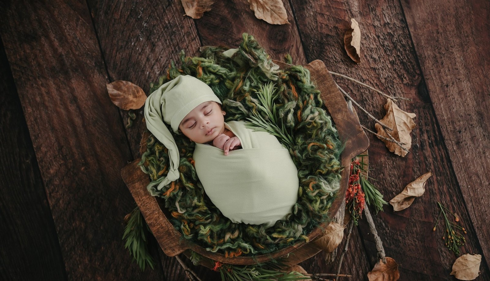 Baby Bunny Photography