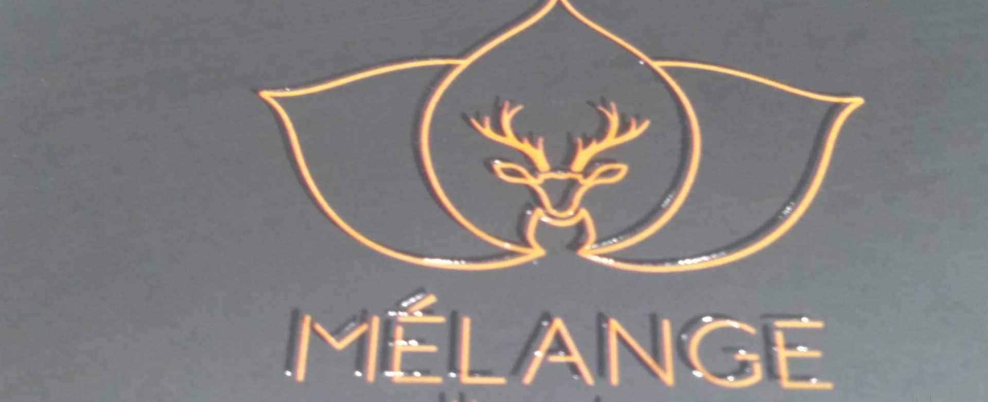 Melange The Salon