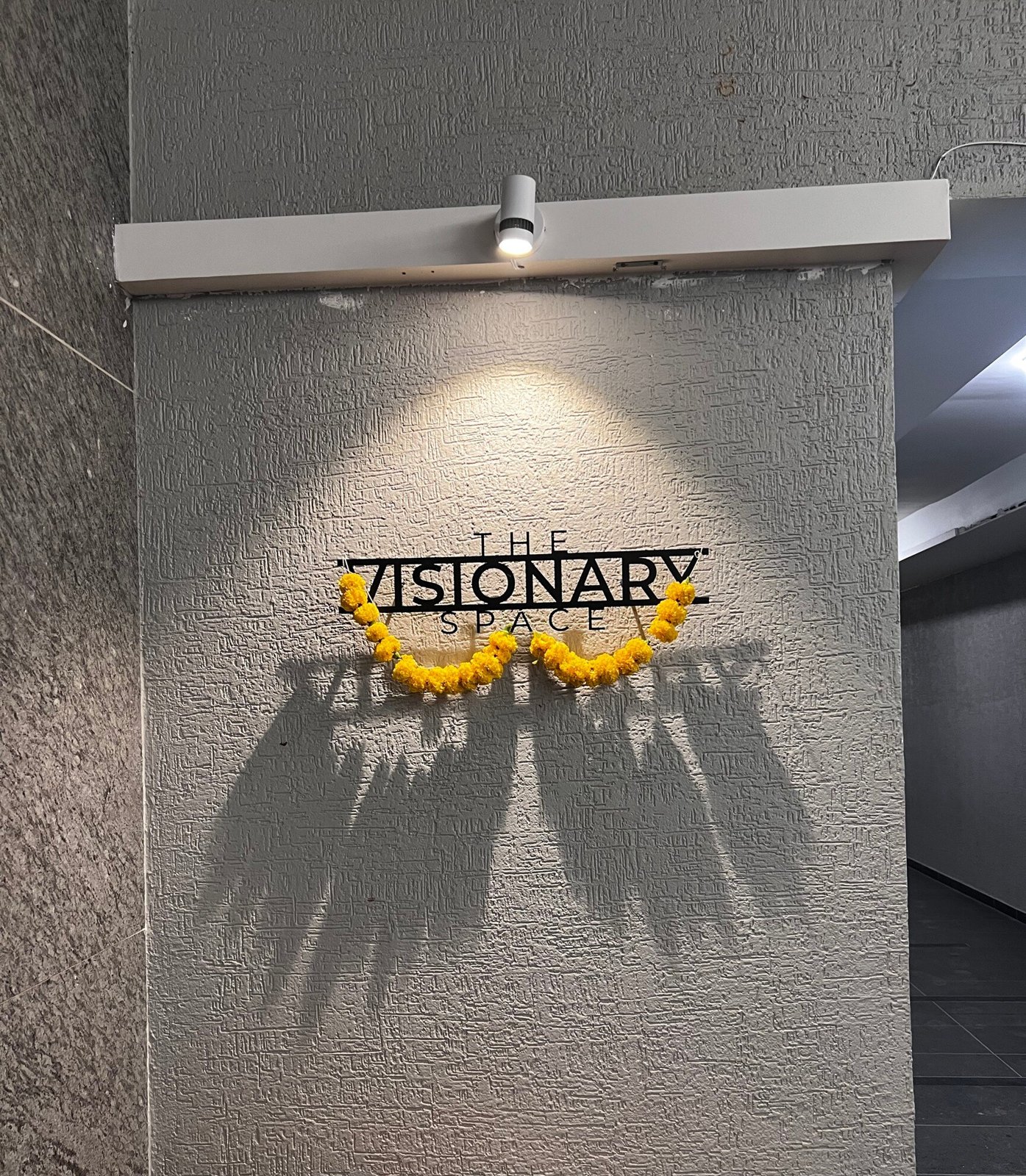 The Visionary Space