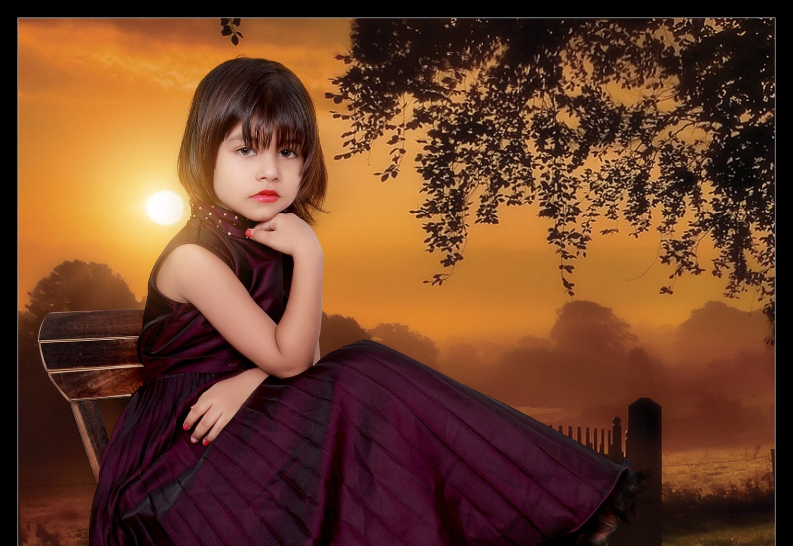 Studio D Films & Photo